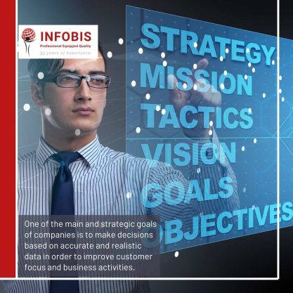 Infobis Strategic Goals