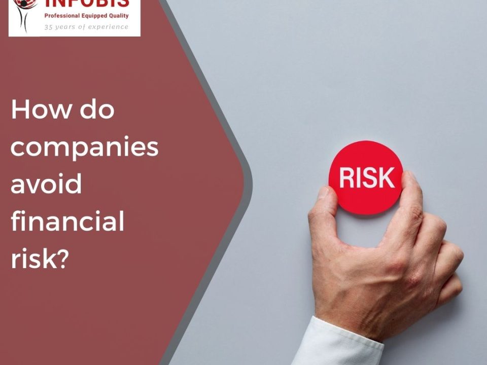 How do companies avoid financial risk?