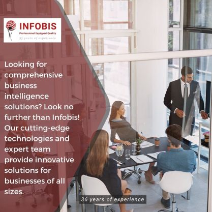 Unlock Business Insights with Infobis Solutions!