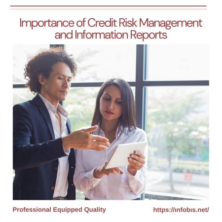 Importance of Credit Risk Management and Information Reports