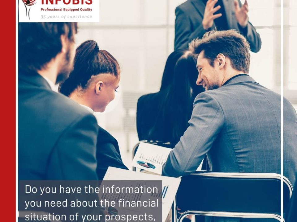 Infobis prepares four different types of commercial reports such as;