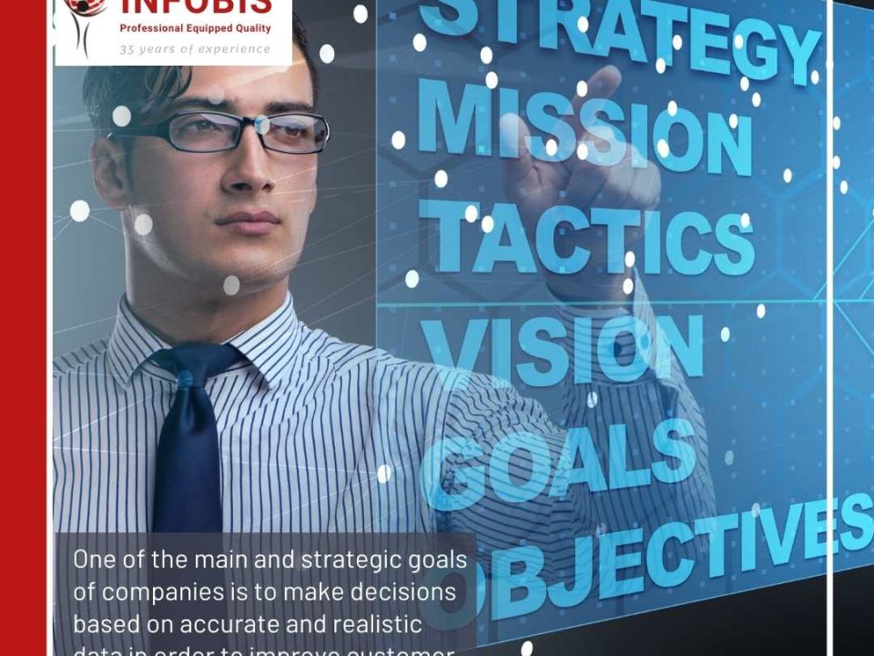Infobis Strategic Goals