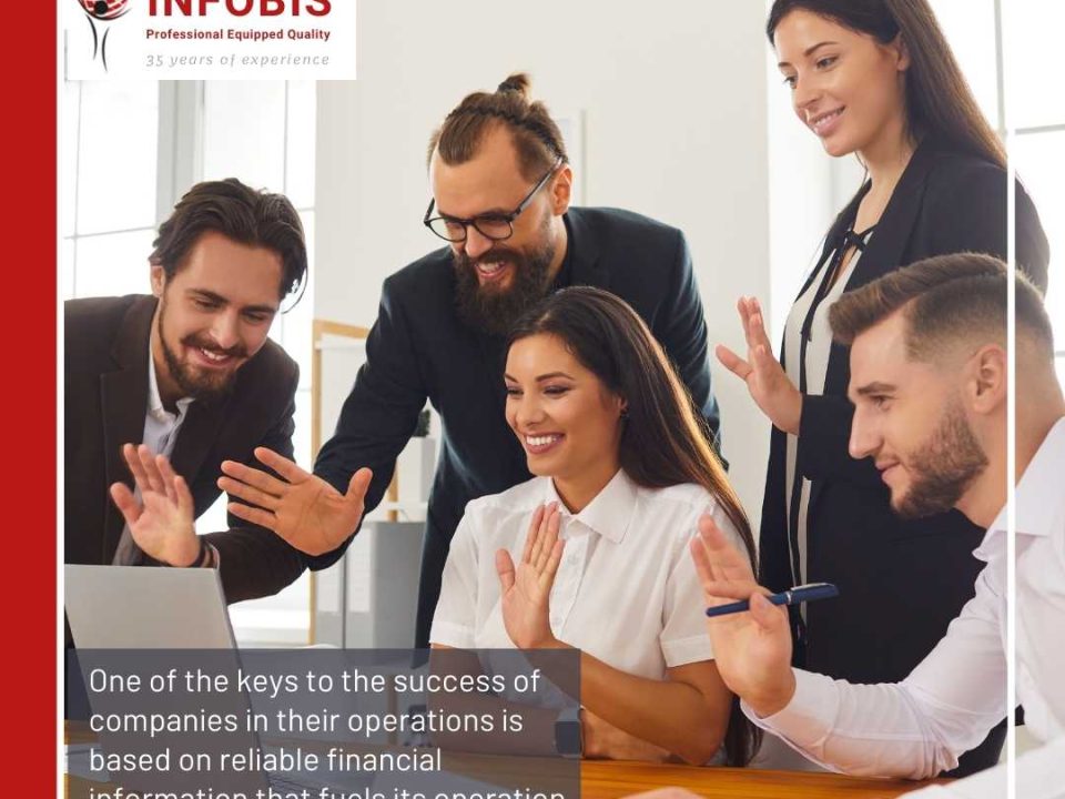 Infobis Strategic Goals