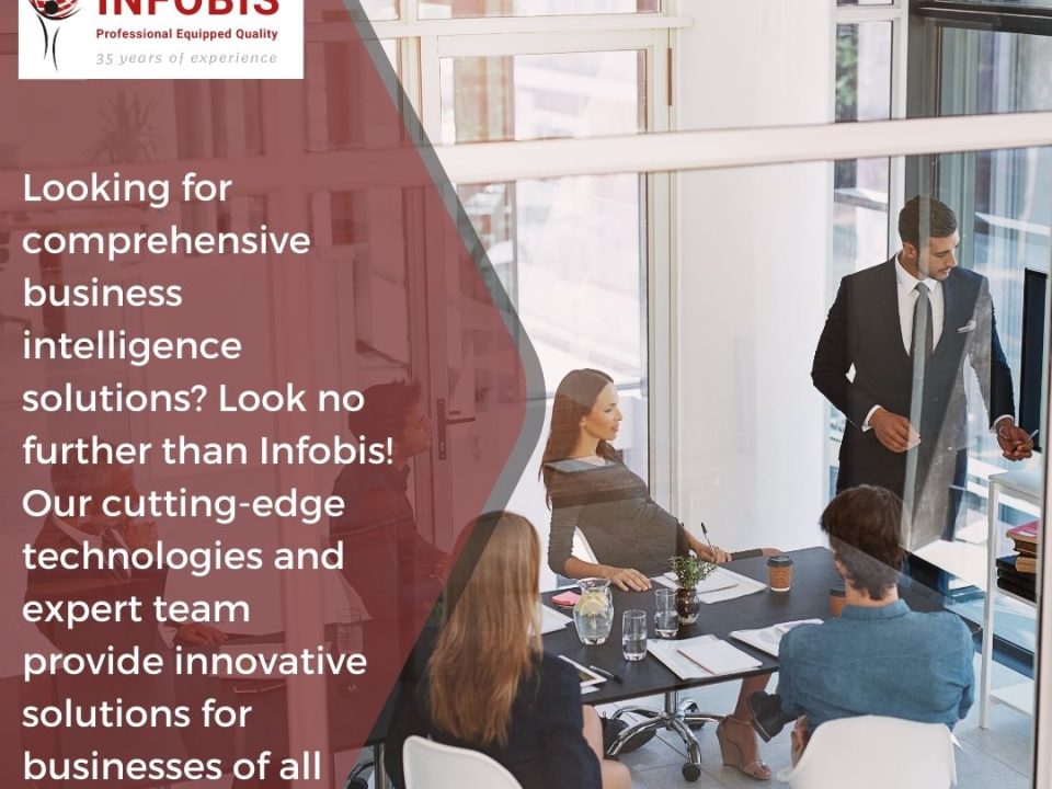 Unlock Business Insights with Infobis Solutions!