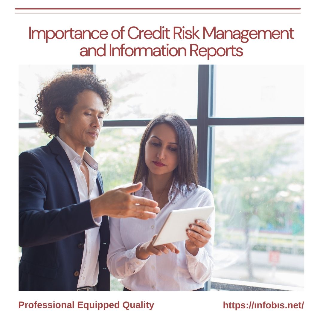 Importance of Credit Risk Management and Information Reports – Infobis