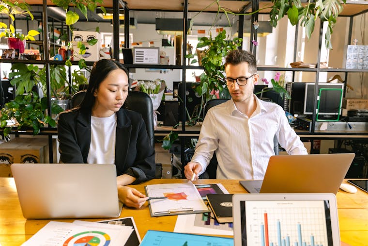 Global Business Intelligence Why International Company Reports Matter